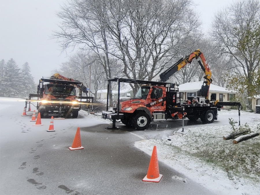 Winter Tree Removal Services