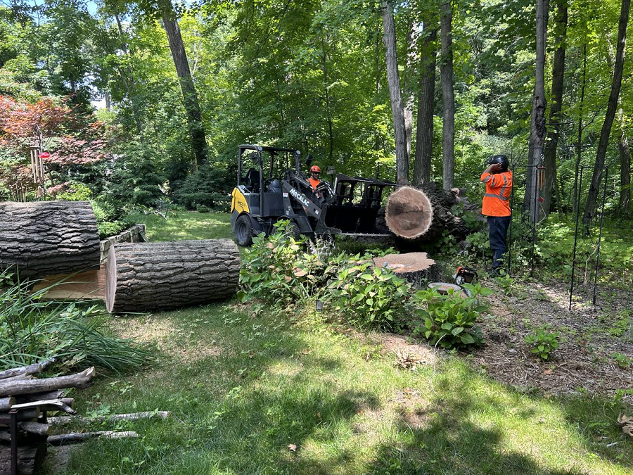 Allenton, WI emergency tree removal & stump grinding