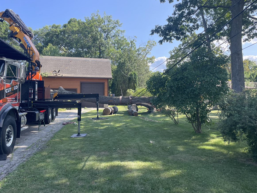 Bayside, WI tree removal & land clearing