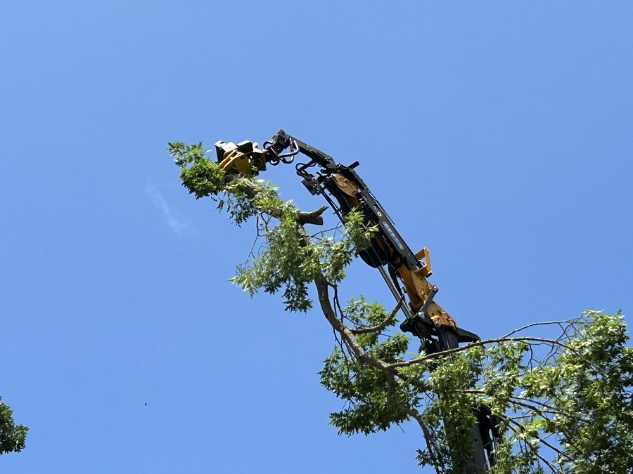 Brookfield, WI tree removal & crane services