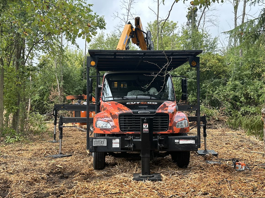 Cedarburg, WI tree removal & land clearing