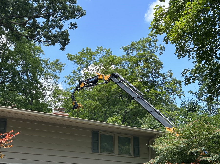Cedar Grove, WI commercial, residential & municipal tree service