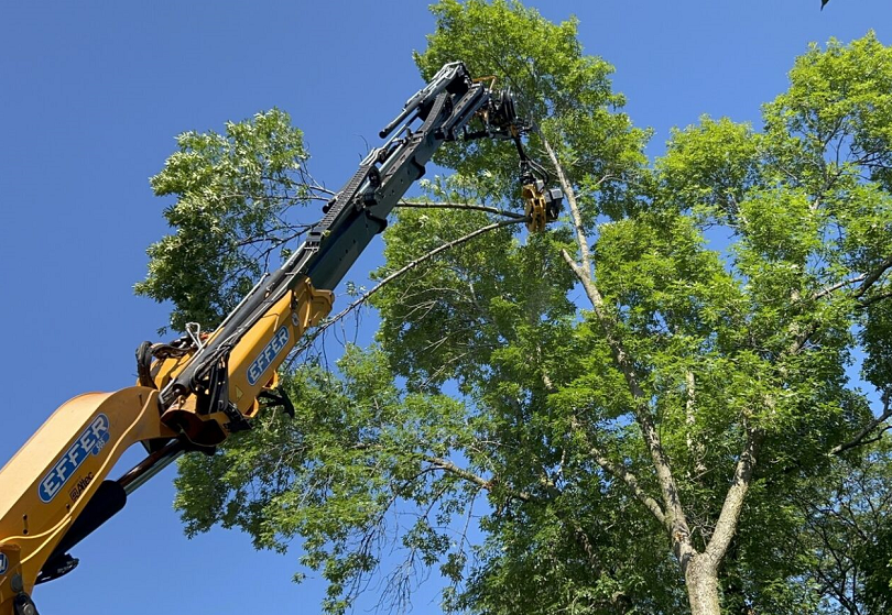 Columbus, WI commercial, residential & municipal tree removal