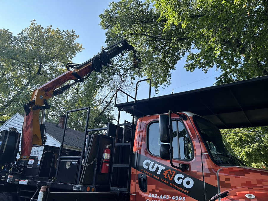 Deforest, WI commercial, residential & municipal tree removal