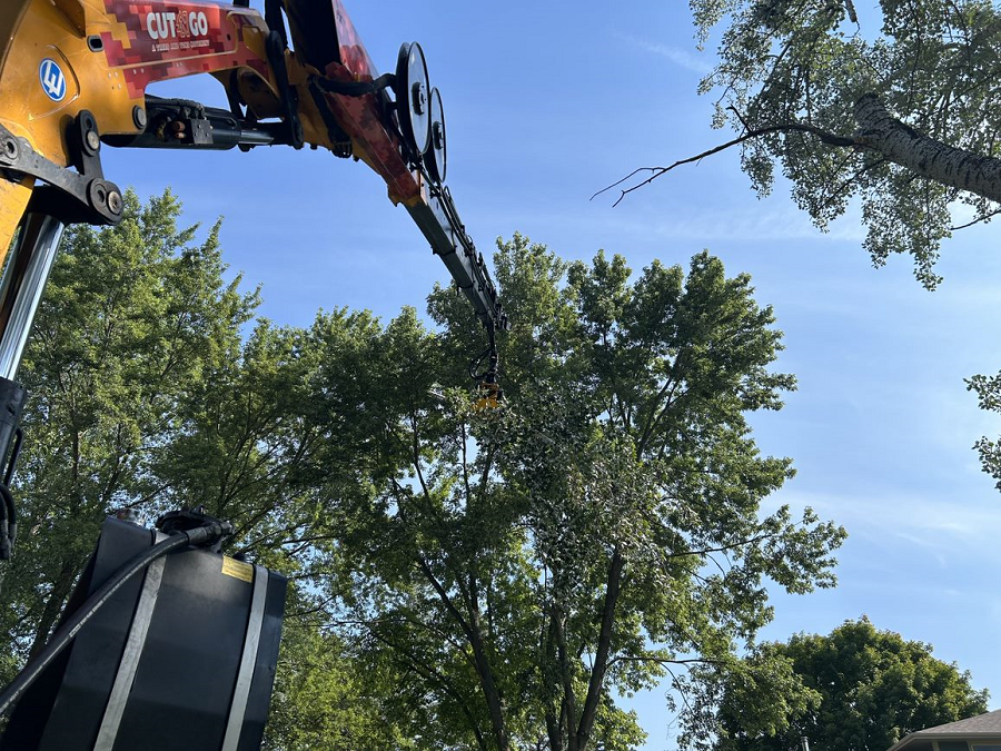 Delavan, WI tree removal & land clearing