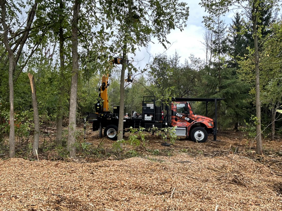 East Troy, WI tree removal & land clearing