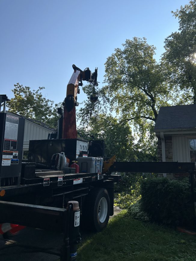 Edgerton, WI commercial, residential & municipal tree service