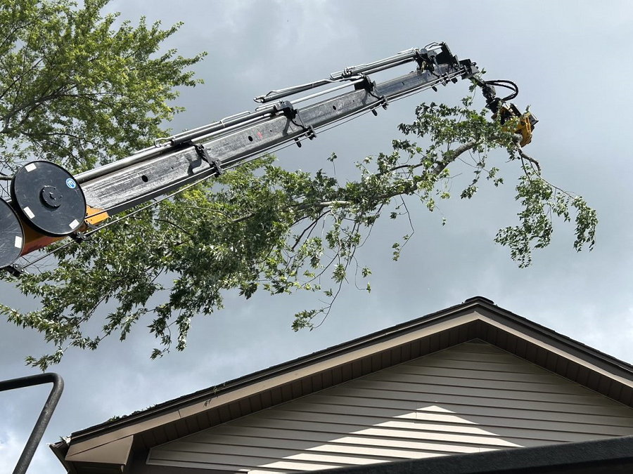 Franklin, WI emergency tree removal & lot clearing