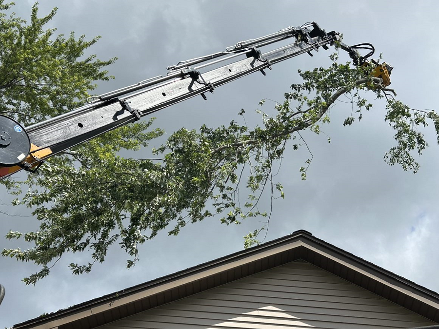 Germantown, WI commercial, residential & municipal tree service