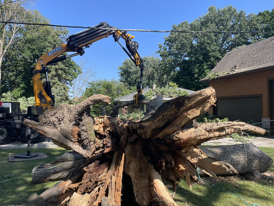Grafton, WI tree removal & land clearing