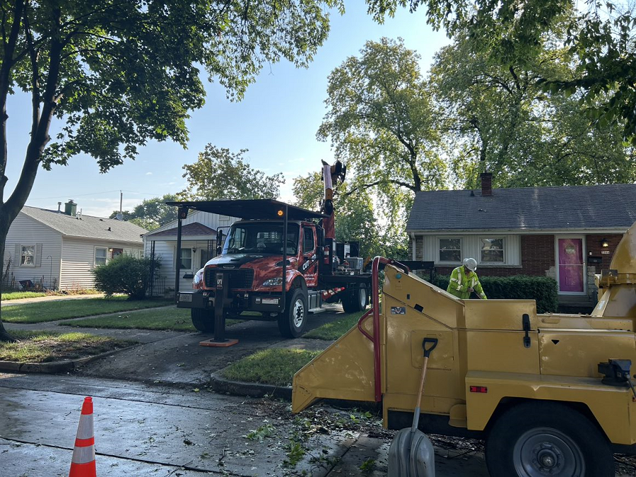 Hartford, WI commercial, residential & municipal tree removal