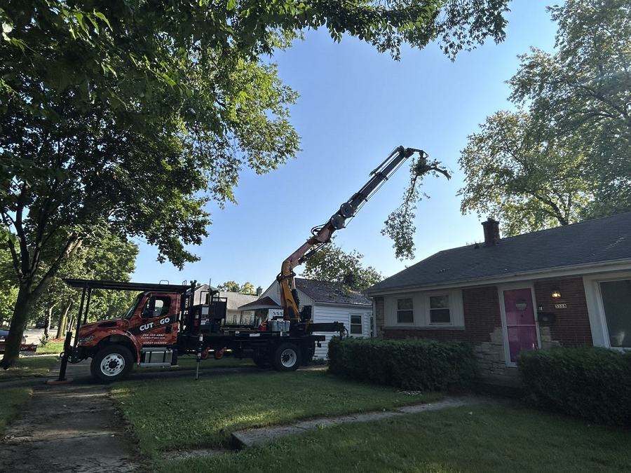 Jackson, WI commercial, residential & municipal tree service
