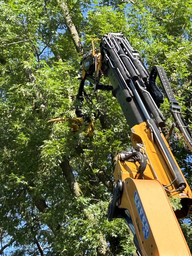 Juneau, WI tree removal & land clearing