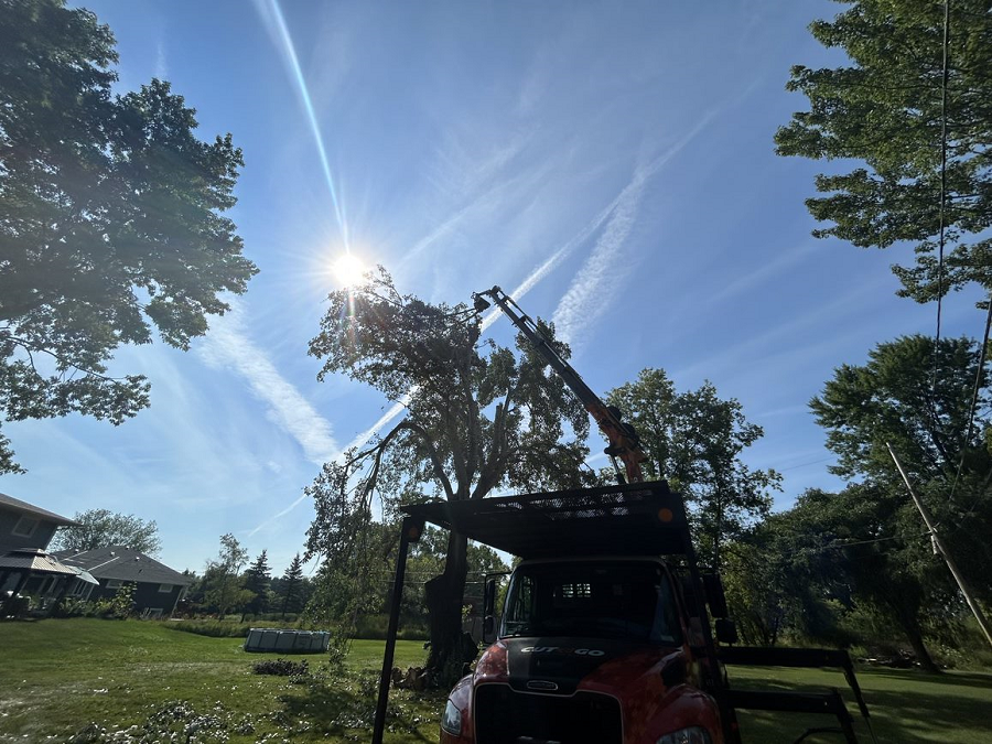 Lake Geneva, WI tree removal & land clearing