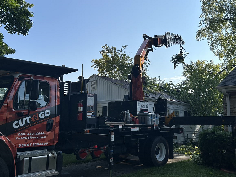 Madison, WI commercial, residential & municipal tree removal