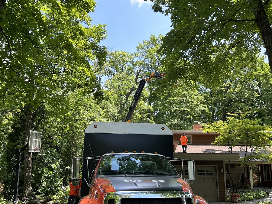 Tree removal, utility line clearance & lot clearing in Menomonee Falls, WI