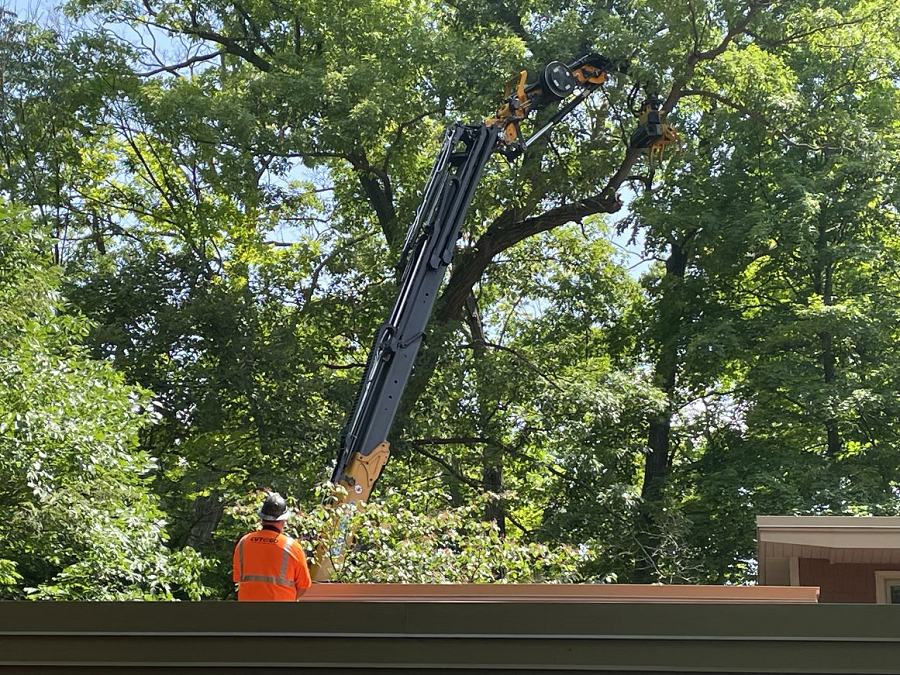 Mequon, WI tree removal & lot clearing