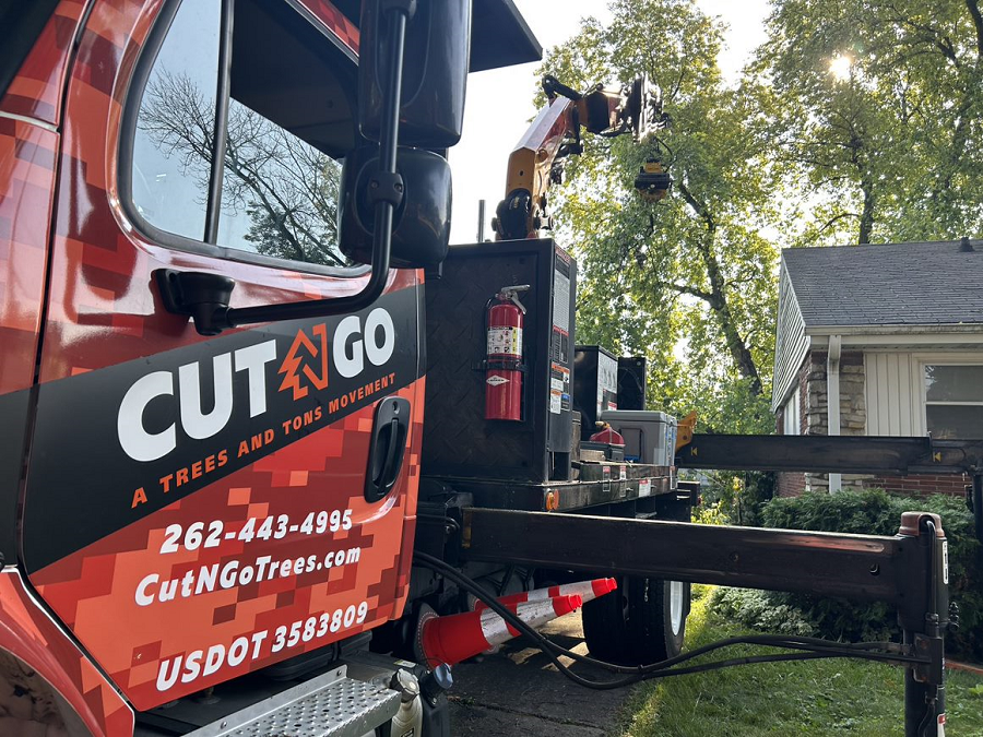 Milwaukee, WI commercial, residential & municipal tree removal