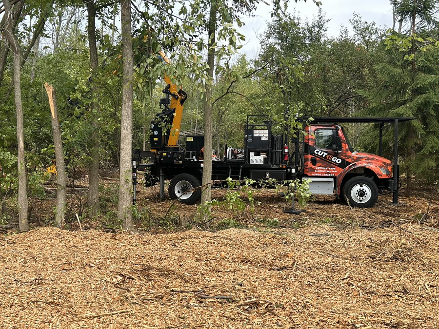 Mount Pleasant, WI emergency tree removal & stump grinding