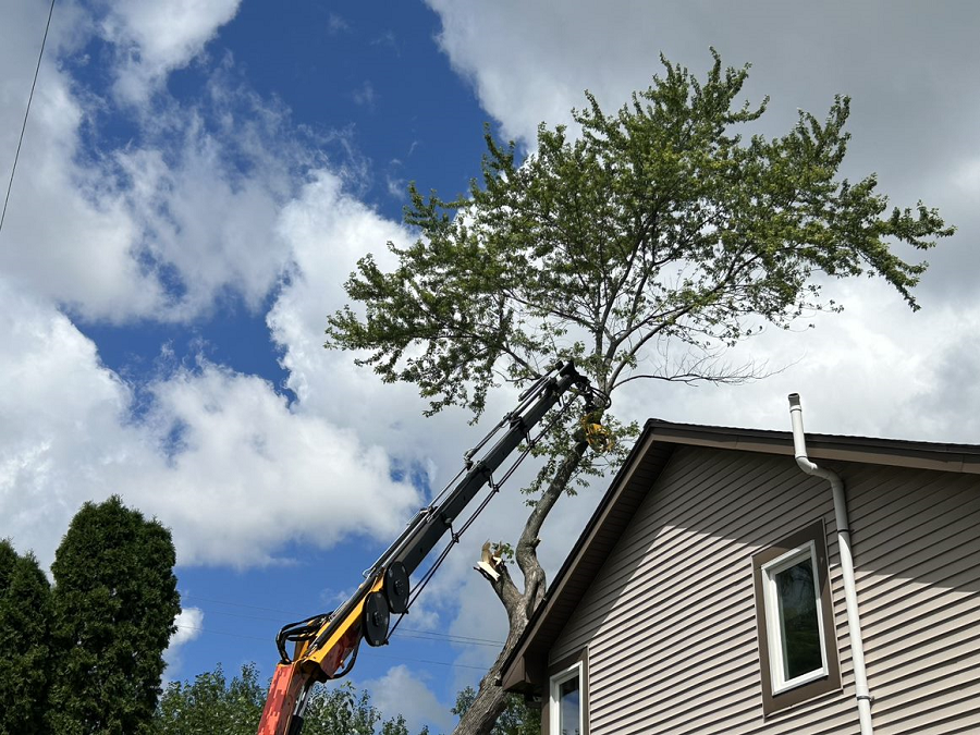 Oak Creek, WI emergency tree removal