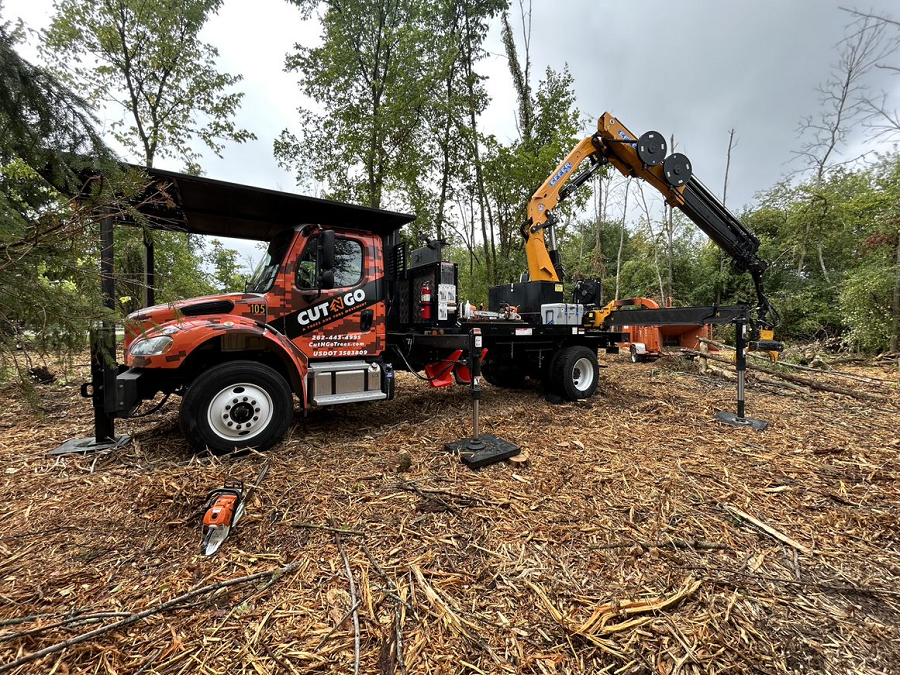 Oconomowoc, WI tree removal & lot clearing