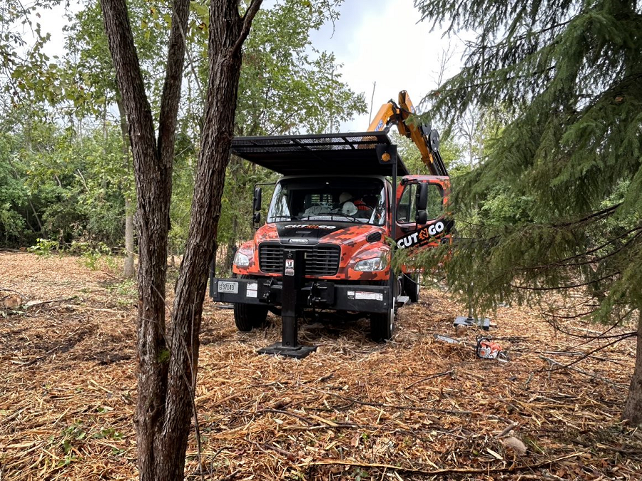 Randall, WI commercial, residential & municipal tree service