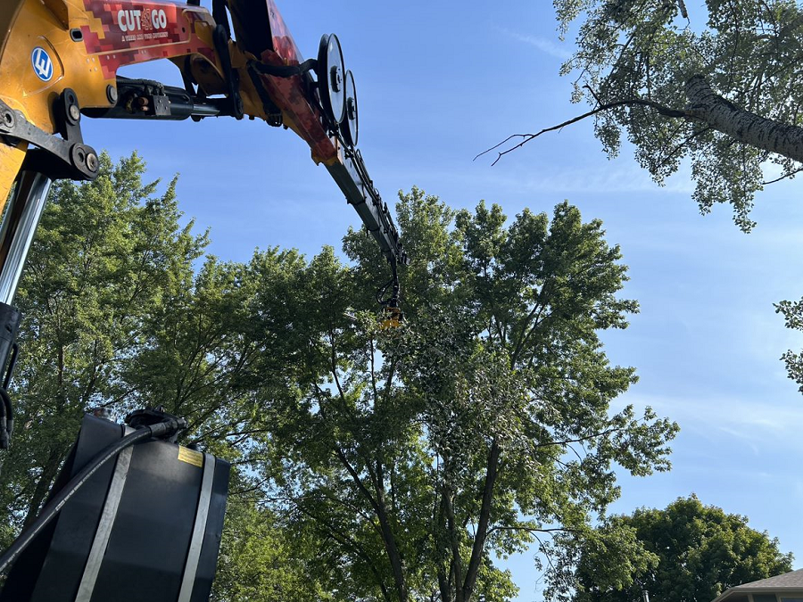 Saukville, WI tree removal & land clearing