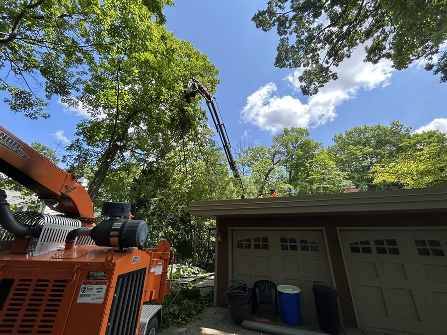 Sheboygan, WI emergency tree removal & stump grinding