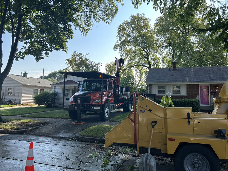 Shorewood, WI emergency tree removal & stump grinding