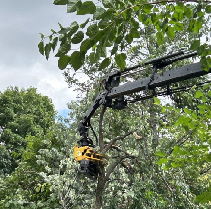 Slinger, WI commercial, residential & municipal tree service