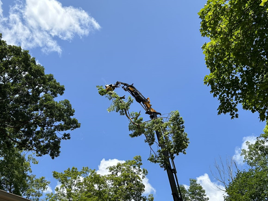 Stoughton, WI commercial, residential & municipal tree service