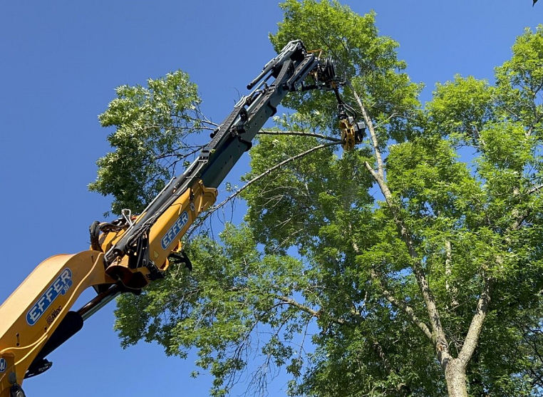 Sturtevant, WI commercial, residential & municipal tree service