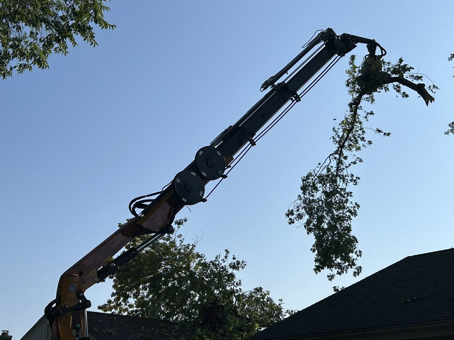 Sun Prairie, WI commercial, residential & municipal tree service