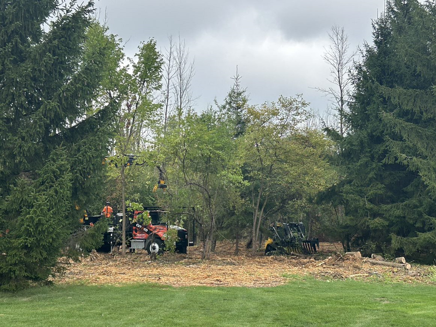 Sussex, WI commercial, residential & municipal tree service