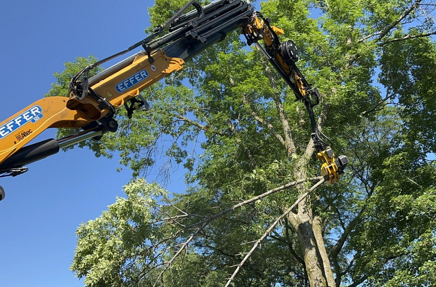 Twin Lakes, WI commercial, residential & municipal tree service