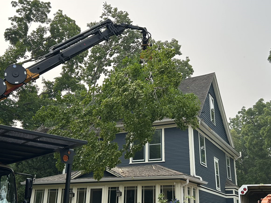 Waukesha, WI tree removal & land clearing
