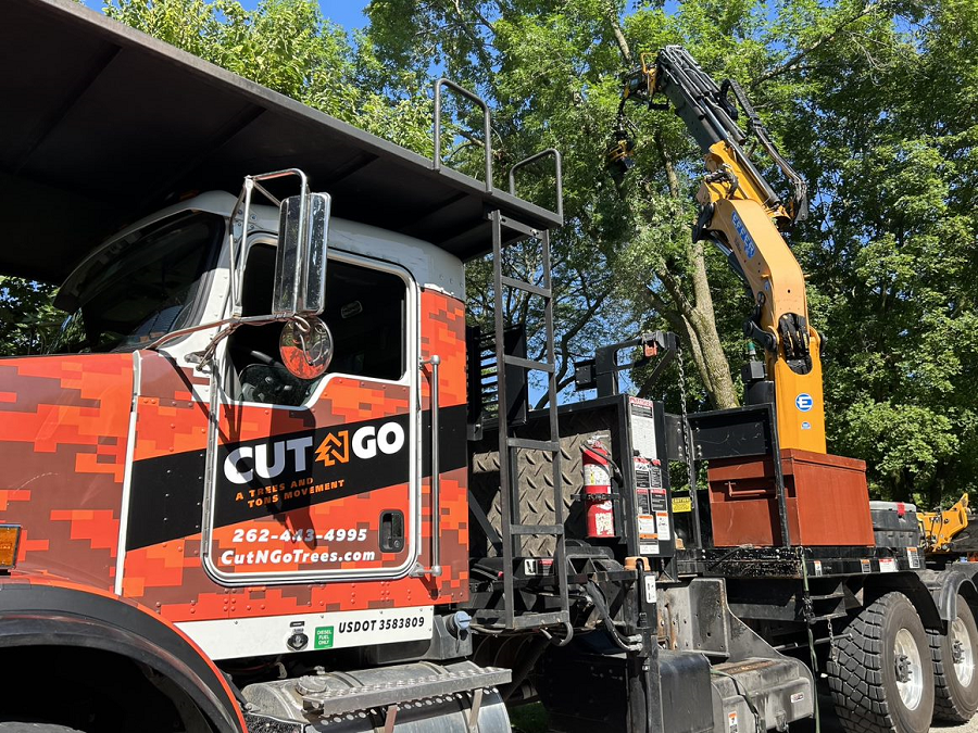 Waupun, WI tree removal & lot clearing