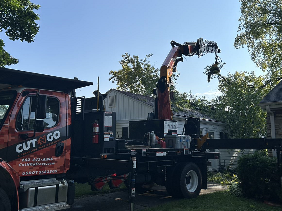 Wauwatosa, WI emergency tree removal & stump grinding