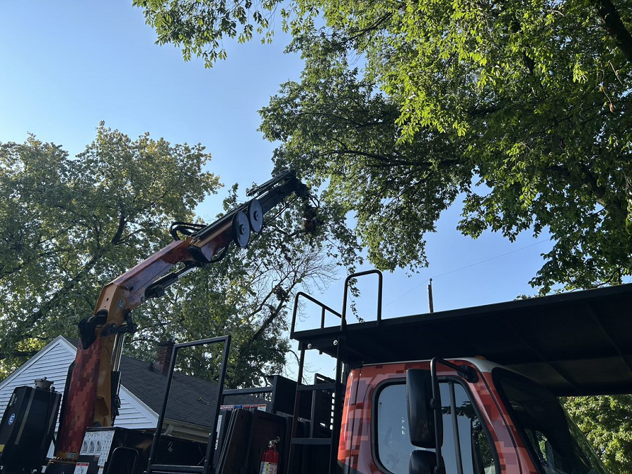 West Bend, WI tree removal & stump grinding