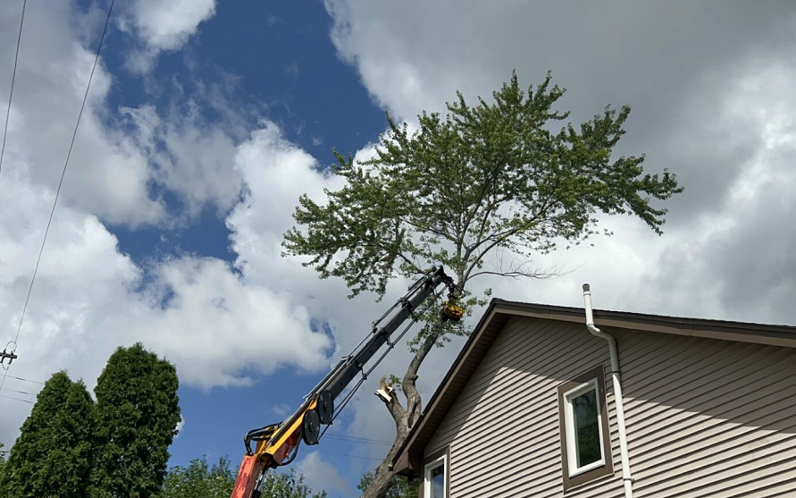 Whitefish Bay, WI commercial, residential & municipal tree removal