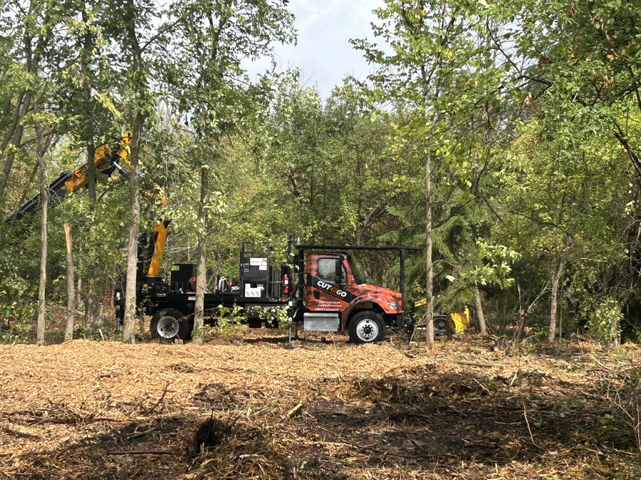 Williams Bay, WI tree removal & land clearing