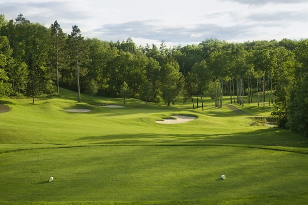 Tree removal service for wisconsin golf courses