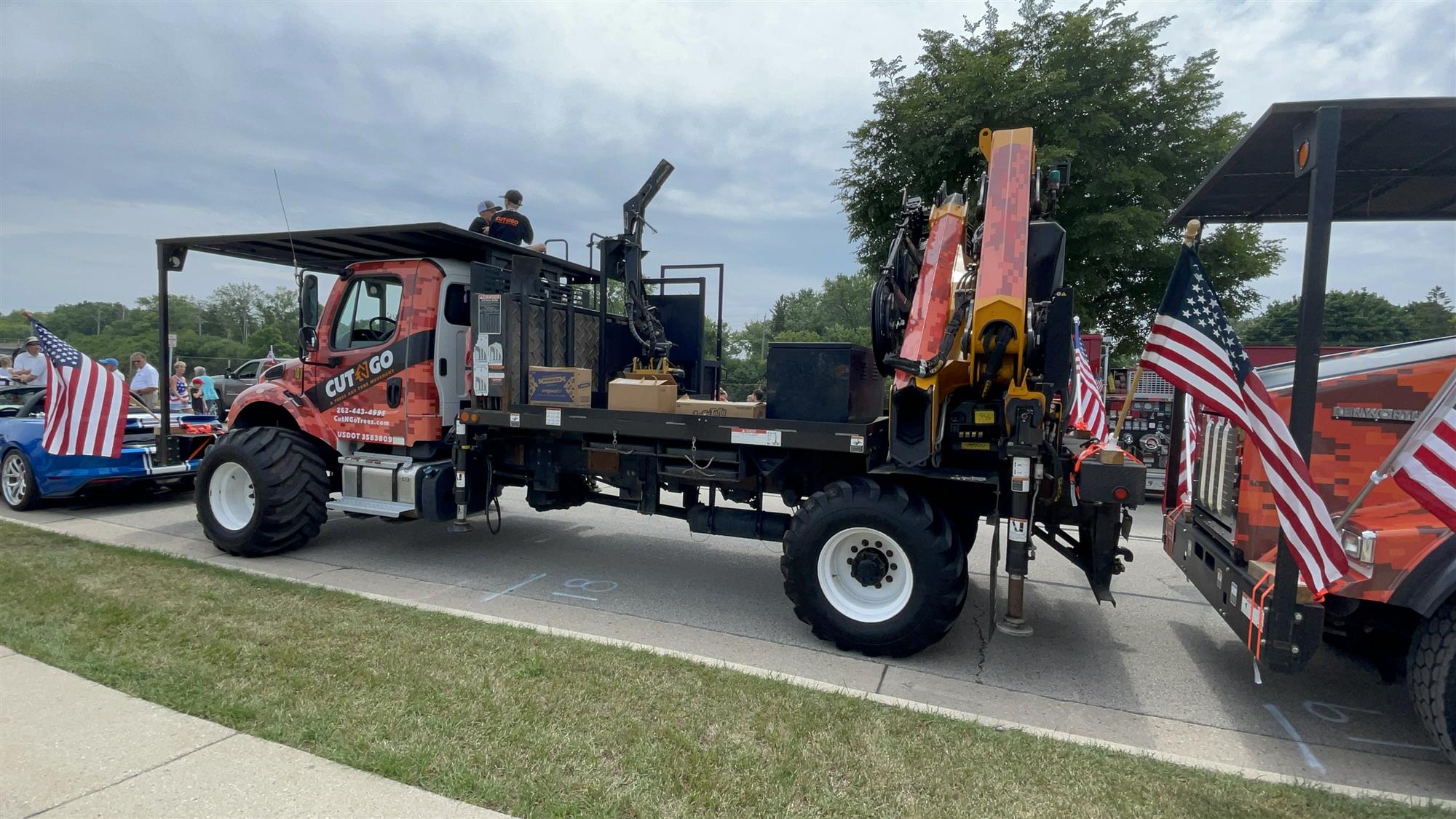 Southeast WI commercial tree removal service