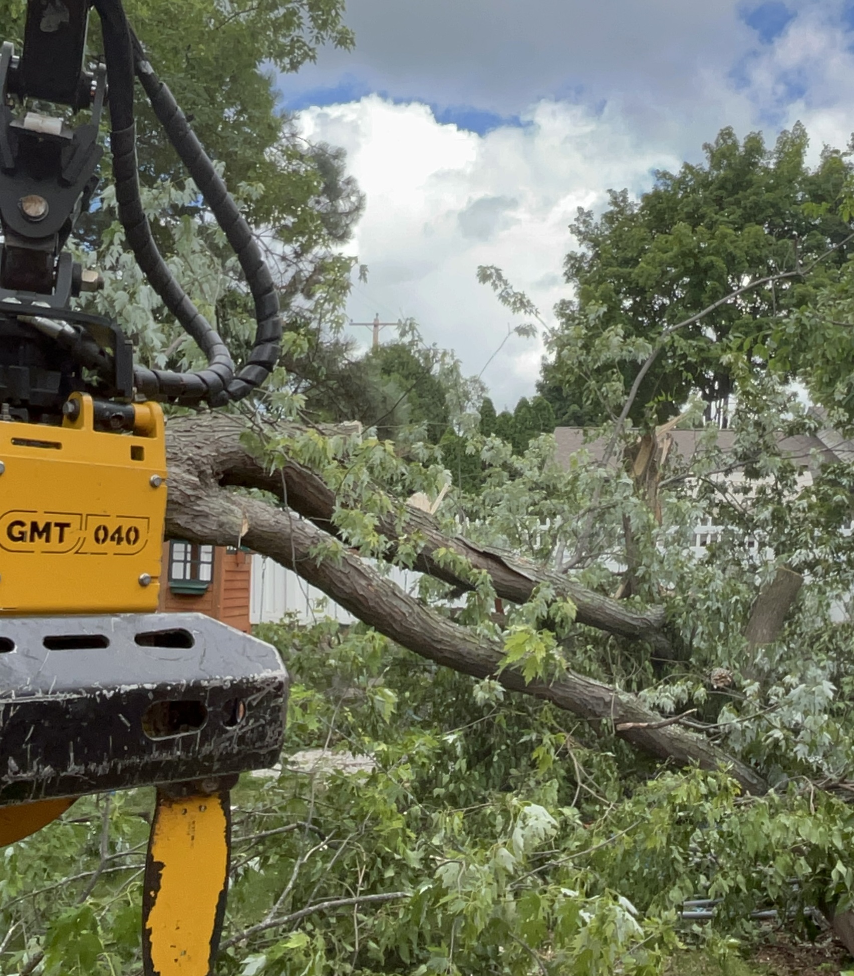 safe emergency tree removals after storm damage in southeast WI