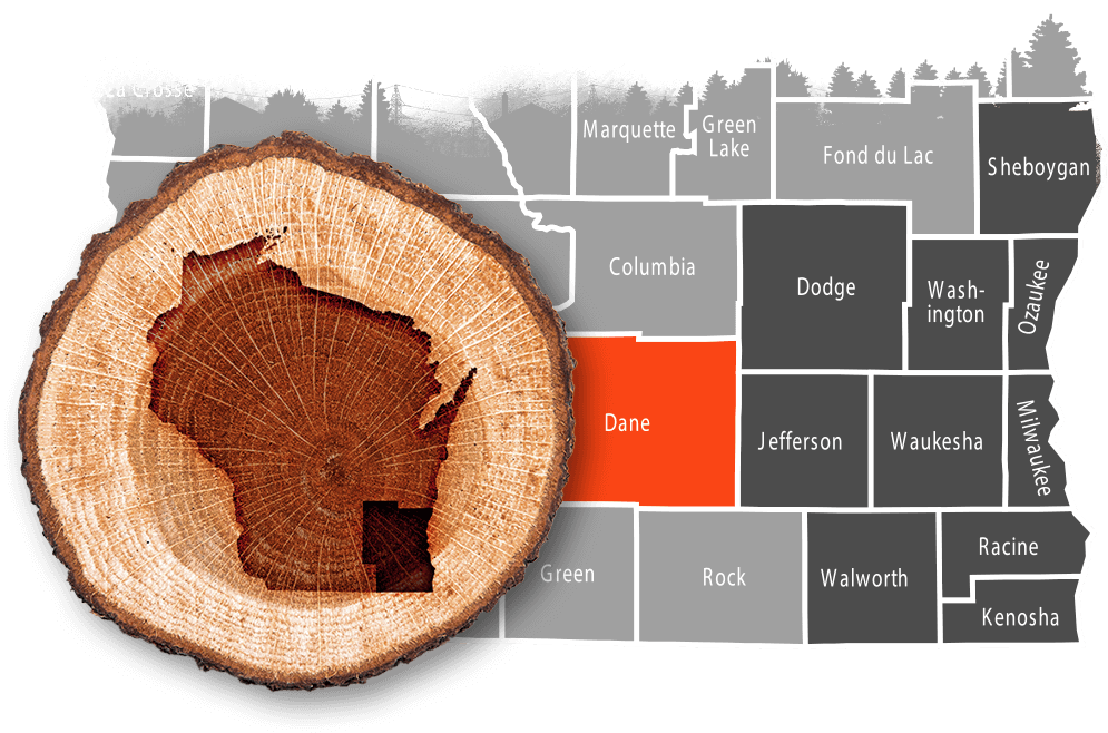 Dane County tree removal & land clearing