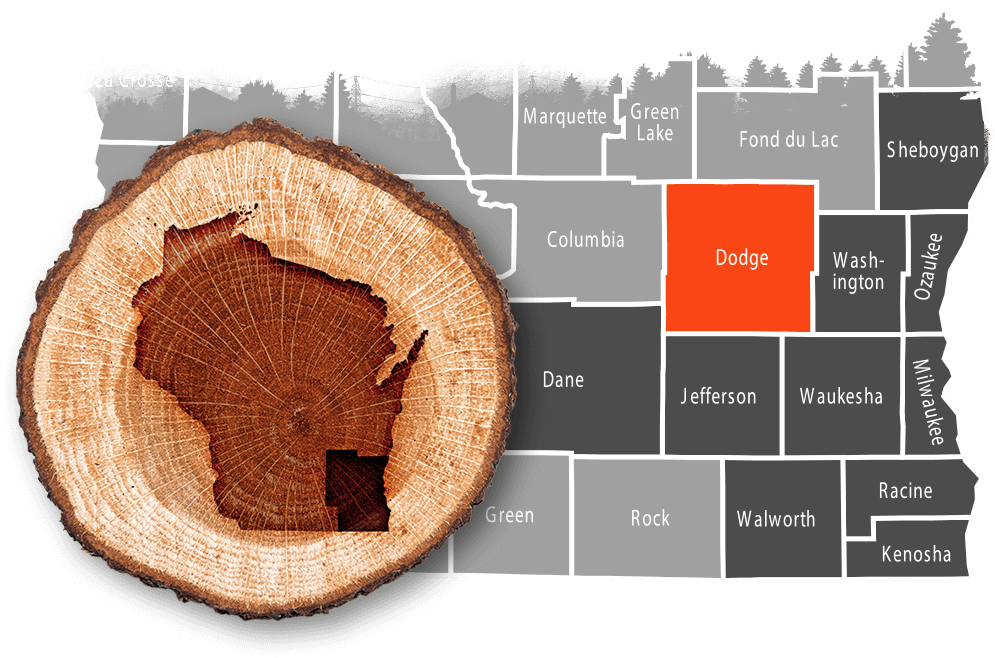 Dodge County, WI commercial, residential & municipal tree removal