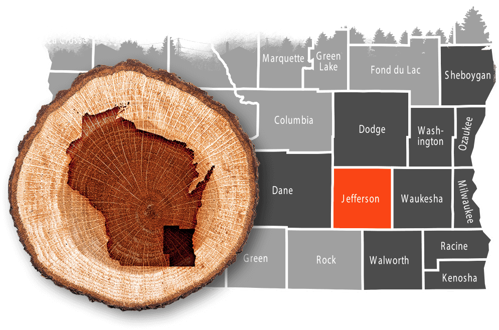 Fort Atkinson, WI emergency tree removal & stump grinding