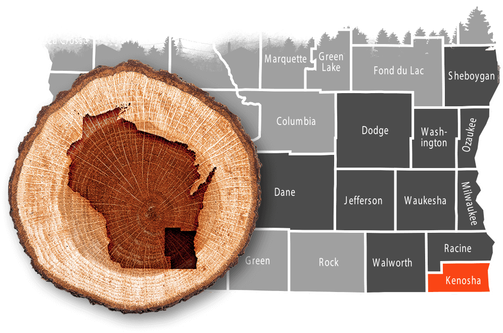 Kenosha, WI commercial, residential & municipal tree removal