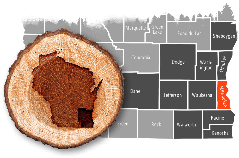 Milwaukee County tree removal & land clearing