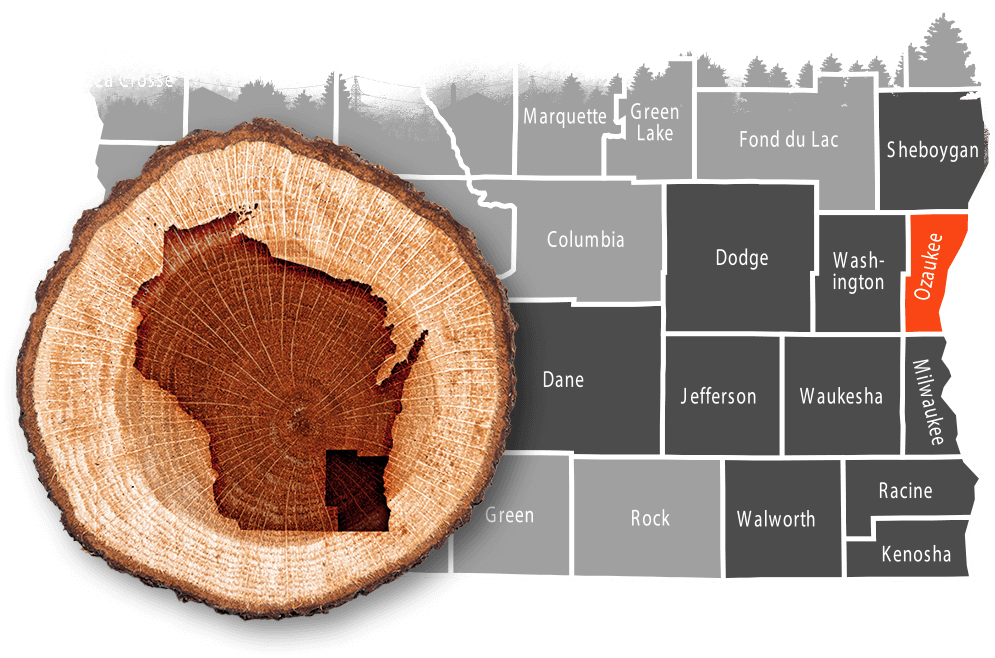 Ozaukee County, WI emergency tree removal & stump grinding